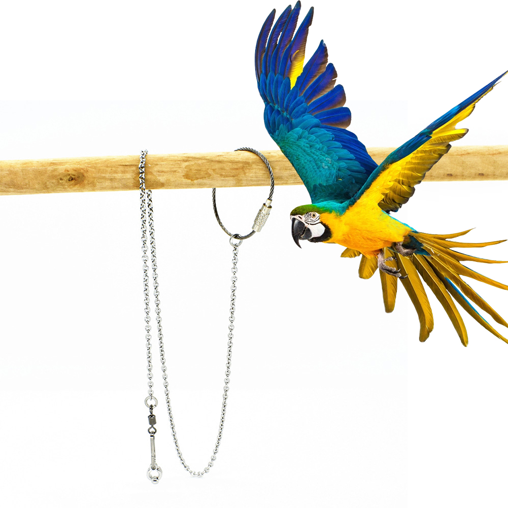 Gymnastic Ring Wood - 1Pcs Pet Parrot Leg Ring Ankle
