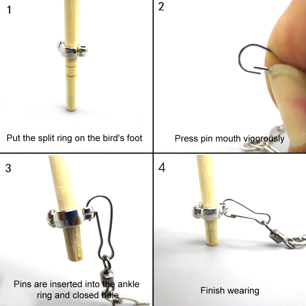 1Pcs Pet Parrot Leg Ring Ankle - Gymnastic Ring Wood recensie en prijs
